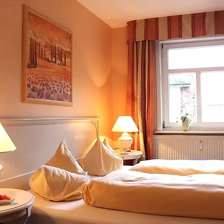 Parkhotel Fischer 3* فيرنغروده