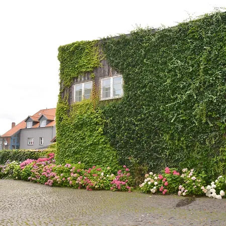 Parkhotel Fischer Hotel 3*