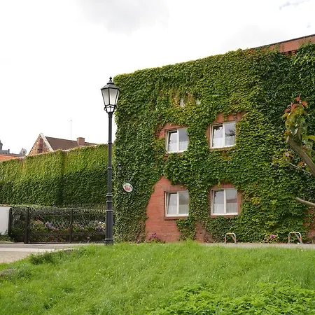 Parkhotel Fischer 3* فيرنغروده